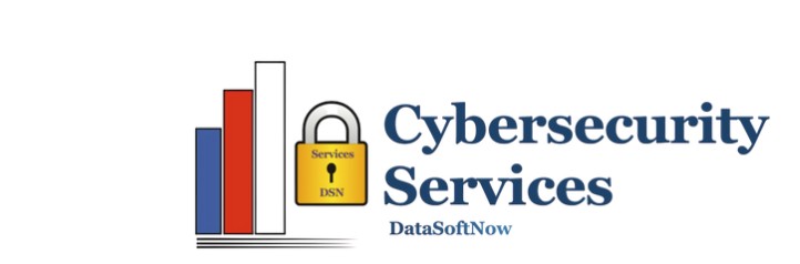 DataSoftNow, Inc. logo